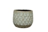 Obal Debby thyme D18 H15