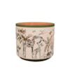 Obal Safari wildlife D18 H17