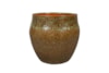 Obal Suzy savannah D29 H27