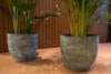 Paleta - mix Cas antique, 76 ks, D100x120 H225, 4 druhy