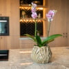 Obal Flora taupe D20 H17