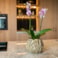 Obal Flora taupe D20 H17