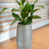 Obal Joyce shiny olive D31 H68