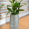 Obal Joyce shiny olive D31 H68