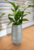 Obal Joyce shiny olive D31 H68