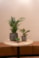 Obal Jules earth D26 H22