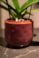 Obal Mabel cherry D8 H7