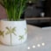 Obal Palm white D19 H15