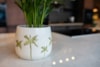 Obal Palm white D19 H15