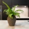 Obal Rachel ocean D21 H23