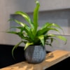 Obal Renzo shiny grey D31 H28