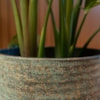 Paleta - mix Cas antique, 76 ks, D100x120 H225, 4 druhy