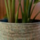 Paleta - mix Cas antique, 76 ks, D100x120 H225, 4 druhy