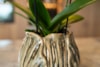 Obal Flora taupe D20 H17