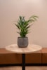 Obal Jules earth D26 H22