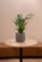 Obal Jules earth D26 H22