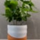 Obal Odin white terra D12 H12