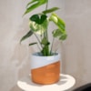 Obal Odin white terra D17 H15