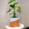 Obal Odin white terra D17 H15