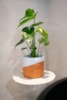 Obal Odin white terra D17 H15