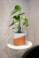 Obal Odin white terra D17 H15