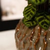 Obal Rachel ocean D26 H28