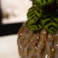 Obal Rachel ocean D26 H28