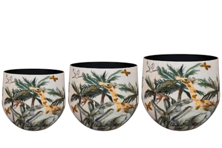 Sada 3obalů Safari dream D33 H28