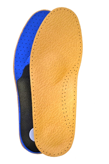 Anatomics Leather web